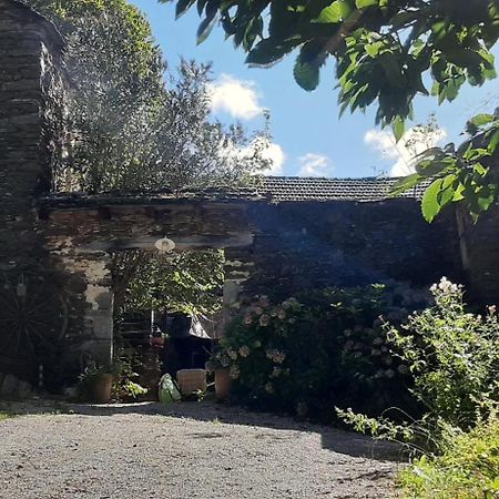 Le Petit Nid Bed & Breakfast Sablieres Bagian luar foto