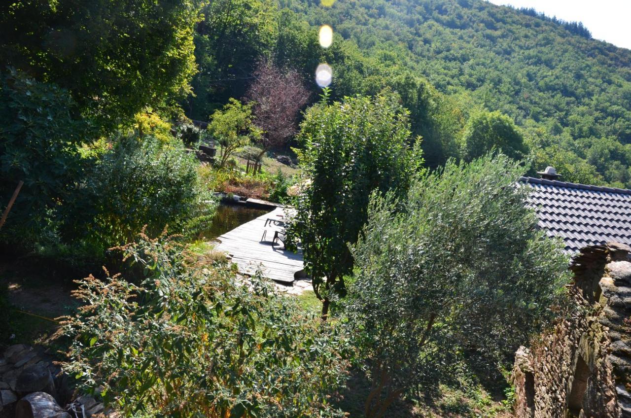 Le Petit Nid Bed & Breakfast Sablieres Bagian luar foto