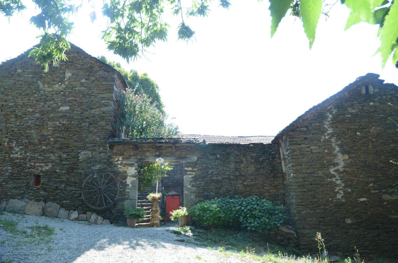 Le Petit Nid Bed & Breakfast Sablieres Bagian luar foto